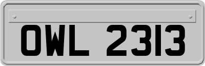 OWL2313