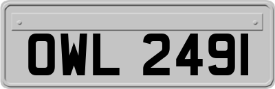 OWL2491