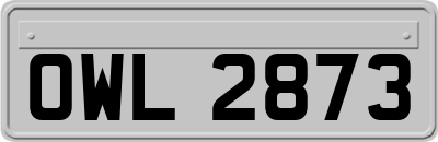 OWL2873