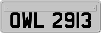 OWL2913
