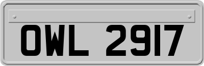 OWL2917