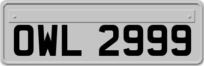 OWL2999