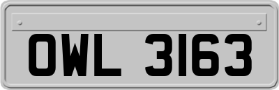OWL3163