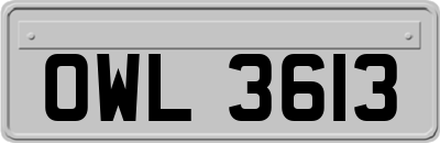 OWL3613