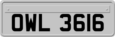 OWL3616