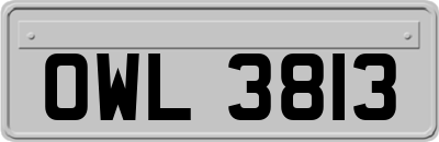 OWL3813