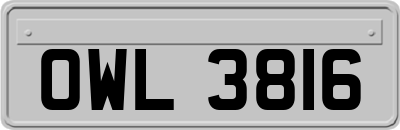 OWL3816