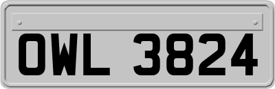 OWL3824