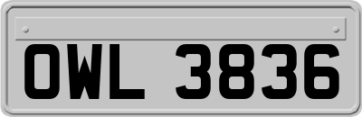 OWL3836