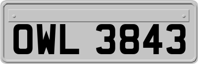OWL3843