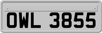OWL3855