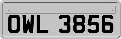 OWL3856