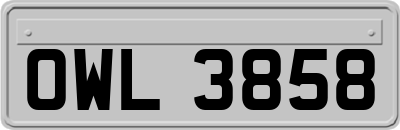 OWL3858
