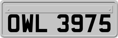 OWL3975