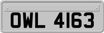 OWL4163