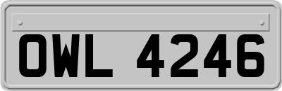 OWL4246
