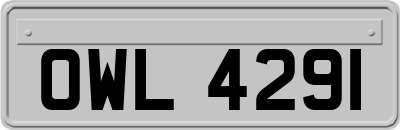 OWL4291