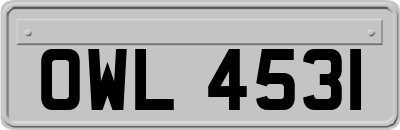 OWL4531