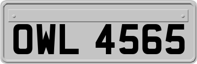 OWL4565