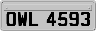 OWL4593