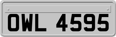 OWL4595