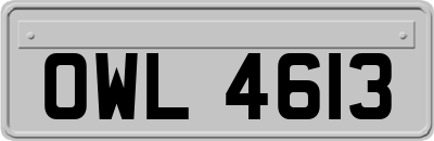 OWL4613