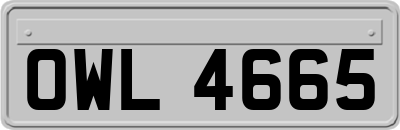 OWL4665
