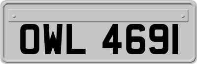 OWL4691
