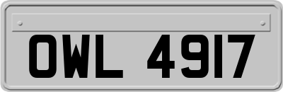 OWL4917