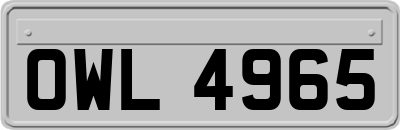 OWL4965