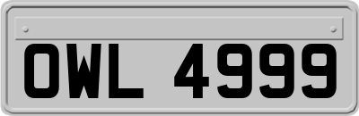 OWL4999