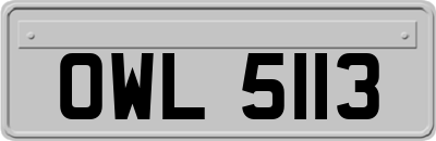 OWL5113
