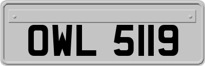 OWL5119