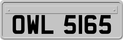 OWL5165