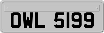 OWL5199