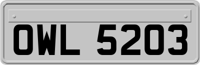 OWL5203