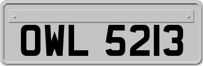 OWL5213