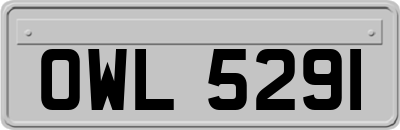 OWL5291