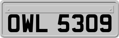 OWL5309