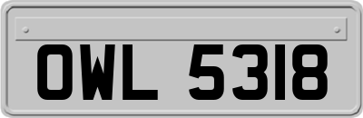 OWL5318