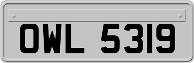 OWL5319