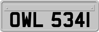 OWL5341