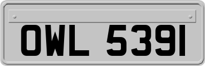 OWL5391