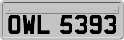 OWL5393
