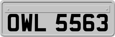 OWL5563