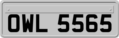 OWL5565