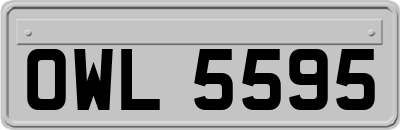 OWL5595