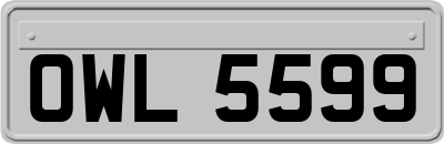 OWL5599