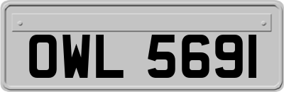 OWL5691