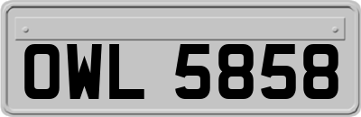 OWL5858